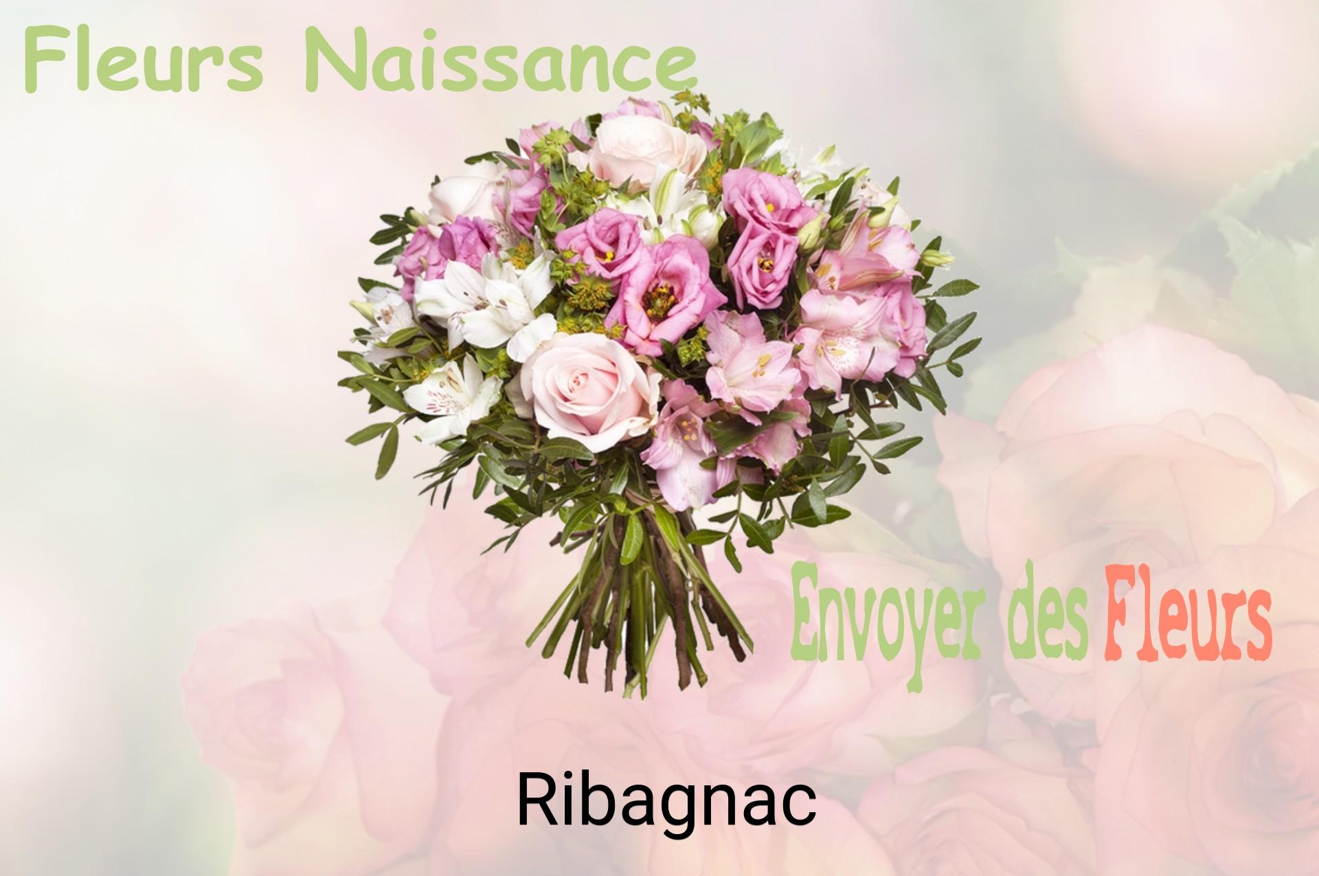 Bouquet de fleurs de naissance livré à Ribagnac